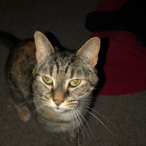 Meet your Posher, Kara